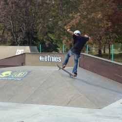 Etnies_back_to_the_future