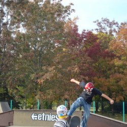 Etnies_back_to_the_future