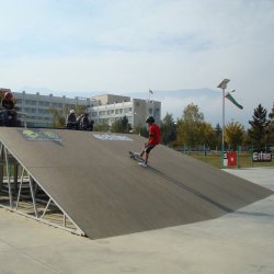Etnies_back_to_the_future